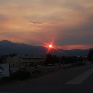 Meet your Posher, Diana